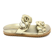 Birken Hello 2302 Ouro Light